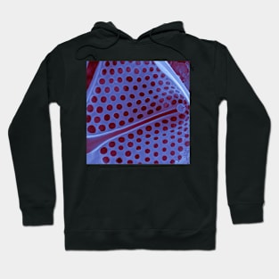 Diatom - Asteromphalus in SEM (internal, purple) Hoodie